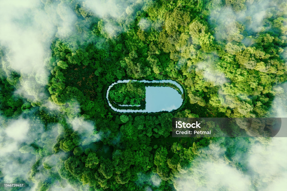  Environment and Health: New Research Highlights the Connection