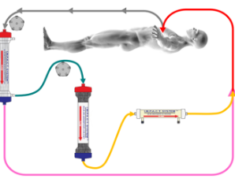 circuit-impact
