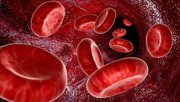 prevent-endothelial-dysfunction