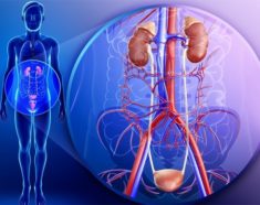 urologiya