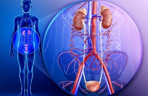 urologiya