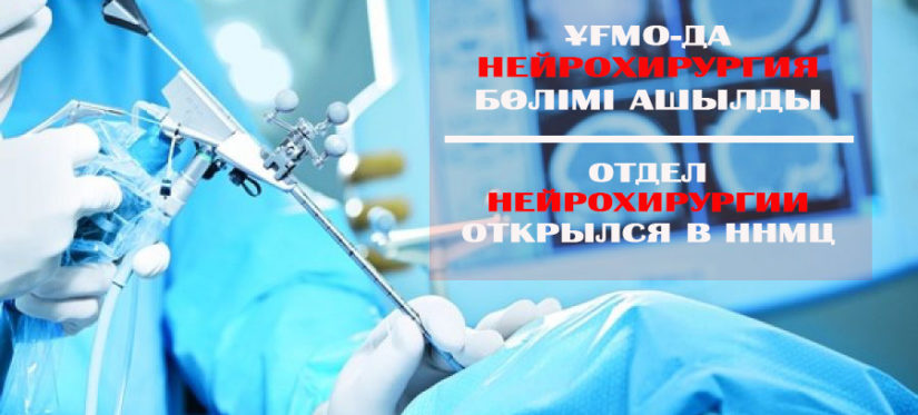 123-3-e154вкео1147890831